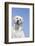 Labrador Retriever-null-Framed Photographic Print