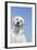 Labrador Retriever-null-Framed Photographic Print