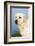 Labrador Retriever-null-Framed Photographic Print