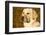 Labrador Retriever-null-Framed Photographic Print