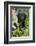 Labrador Retriever-Lynn M^ Stone-Framed Photographic Print