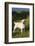 Labrador Retriever-Lynn M^ Stone-Framed Photographic Print