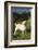 Labrador Retriever-Lynn M^ Stone-Framed Photographic Print