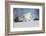 Labrador Retriever-Lynn M^ Stone-Framed Photographic Print