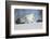 Labrador Retriever-Lynn M^ Stone-Framed Photographic Print