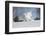 Labrador Retriever-Lynn M^ Stone-Framed Photographic Print