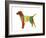 Labrador Retriever-NaxArt-Framed Art Print