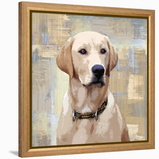 Labrador Retriever-Keri Rodgers-Framed Stretched Canvas