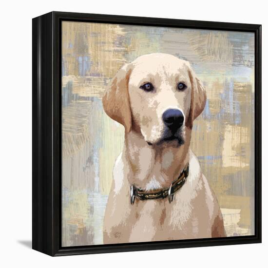 Labrador Retriever-Keri Rodgers-Framed Stretched Canvas