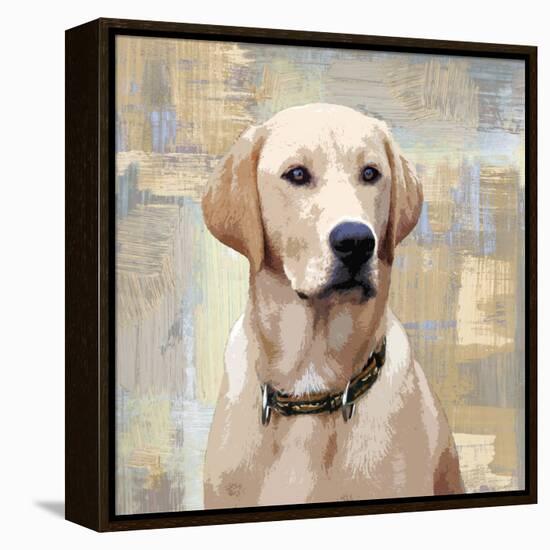 Labrador Retriever-Keri Rodgers-Framed Stretched Canvas