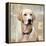 Labrador Retriever-Keri Rodgers-Framed Stretched Canvas