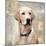 Labrador Retriever-Keri Rodgers-Mounted Art Print