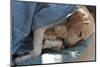 Labrador Sleeping and Hugging a Teddy Bear-davidsunyol-Mounted Photographic Print