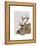 Labrador with Antlers-Fab Funky-Framed Stretched Canvas