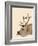 Labrador with Antlers-Fab Funky-Framed Art Print