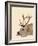 Labrador with Antlers-Fab Funky-Framed Art Print