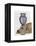 Labrador with Blue Vase-Fab Funky-Framed Stretched Canvas