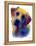Labrador Yellow 1-Marlene Watson-Framed Premier Image Canvas