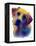 Labrador Yellow 1-Marlene Watson-Framed Premier Image Canvas