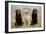 Labrador Yellow, Black and Chocolate-null-Framed Photographic Print