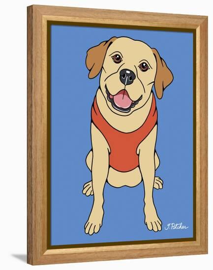 Labrador Yellow-Tomoyo Pitcher-Framed Premier Image Canvas