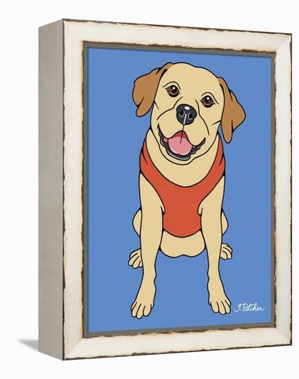 Labrador Yellow-Tomoyo Pitcher-Framed Premier Image Canvas