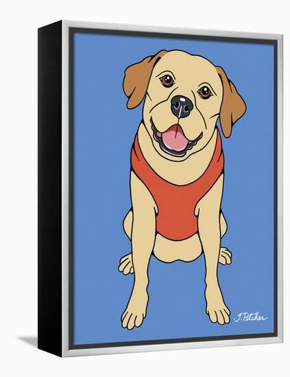 Labrador Yellow-Tomoyo Pitcher-Framed Premier Image Canvas