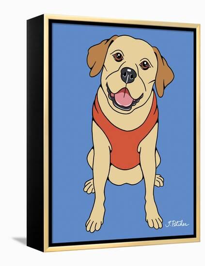 Labrador Yellow-Tomoyo Pitcher-Framed Premier Image Canvas