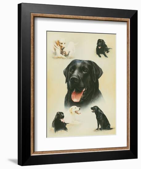 Labrador-Libero Patrignani-Framed Art Print