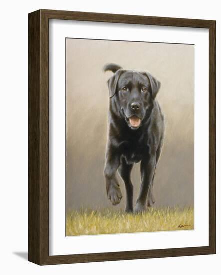 Labrador-John Silver-Framed Giclee Print