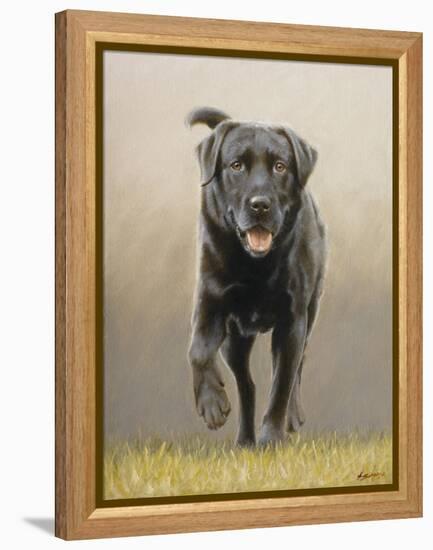 Labrador-John Silver-Framed Premier Image Canvas