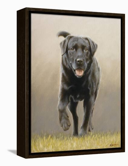 Labrador-John Silver-Framed Premier Image Canvas