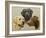 Labrador-John Silver-Framed Giclee Print