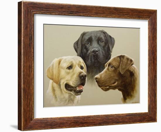 Labrador-John Silver-Framed Giclee Print