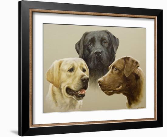 Labrador-John Silver-Framed Giclee Print