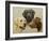 Labrador-John Silver-Framed Giclee Print
