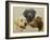 Labrador-John Silver-Framed Giclee Print