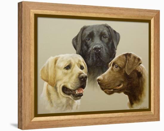 Labrador-John Silver-Framed Premier Image Canvas