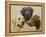 Labrador-John Silver-Framed Premier Image Canvas