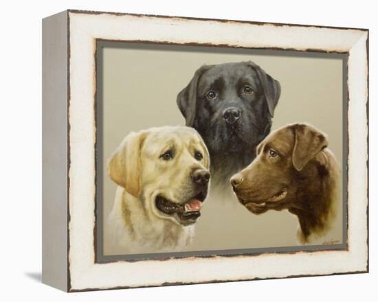 Labrador-John Silver-Framed Premier Image Canvas