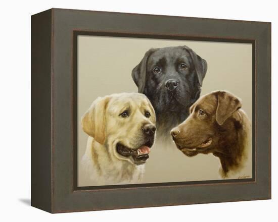 Labrador-John Silver-Framed Premier Image Canvas