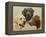 Labrador-John Silver-Framed Premier Image Canvas