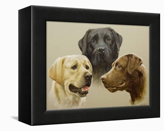 Labrador-John Silver-Framed Premier Image Canvas