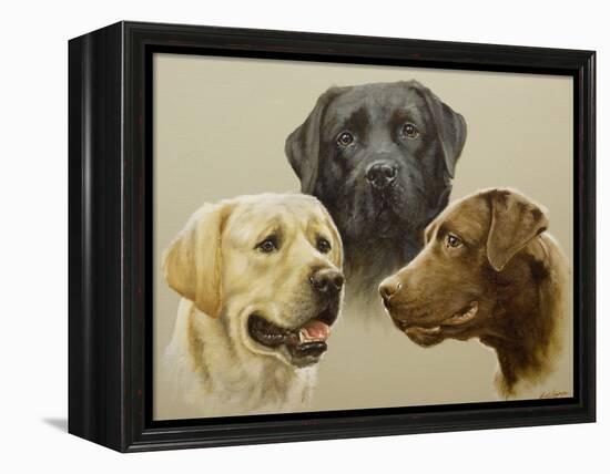 Labrador-John Silver-Framed Premier Image Canvas