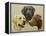 Labrador-John Silver-Framed Premier Image Canvas