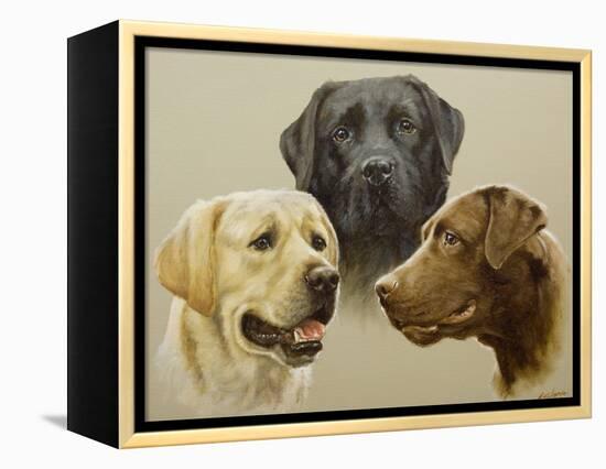 Labrador-John Silver-Framed Premier Image Canvas