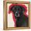 Labrador-Sally Muir-Framed Premier Image Canvas