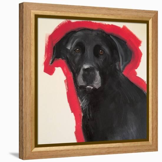 Labrador-Sally Muir-Framed Premier Image Canvas