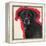 Labrador-Sally Muir-Framed Premier Image Canvas