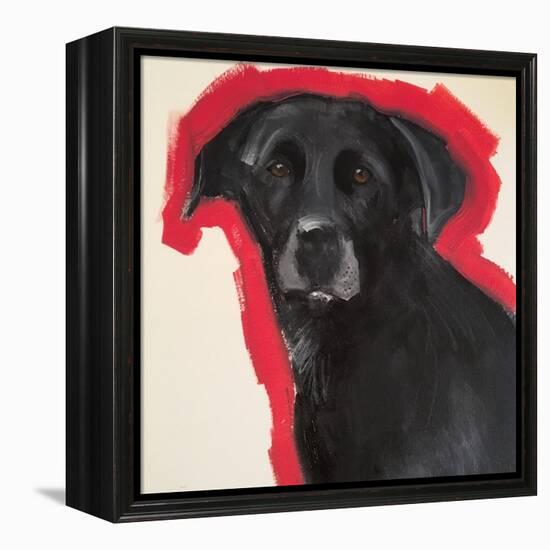 Labrador-Sally Muir-Framed Premier Image Canvas